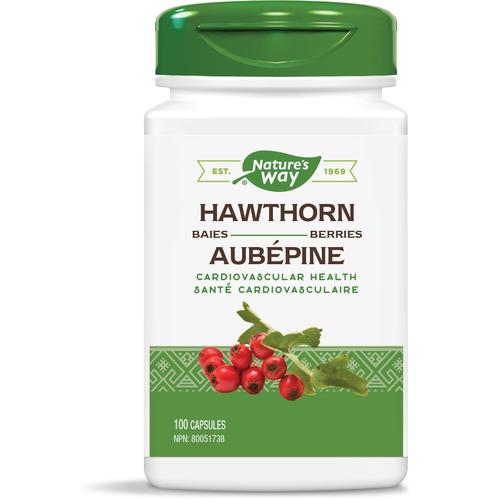 Hawthorn Berries Saúde Cardiovascular da 100 Nature's Way