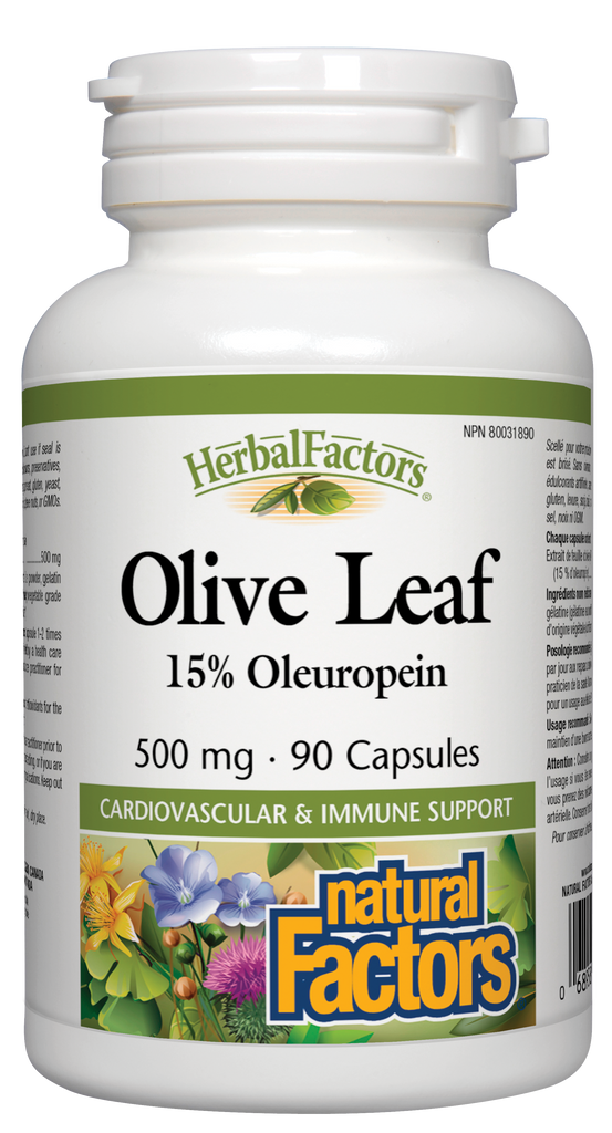 Extrait de feuille d'olivier 500 mg 90 gélules Natural Factors