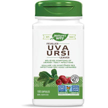 Uva Ursi Leaves  100's Relieves Symptoms of Urinary tract Infections Natures Way