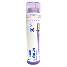 Ledum Palustre 30CH Homeopathic Boiron