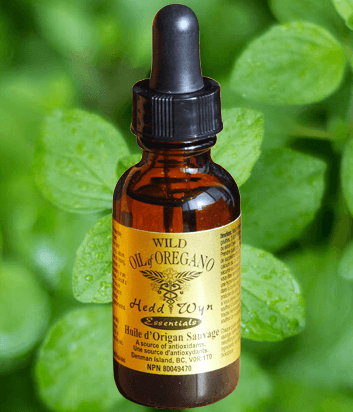 Wild Oil Of Oregano 15ml Hedd Wyn