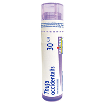 Thuja occidentalis 30CH Homeopathic Boiron